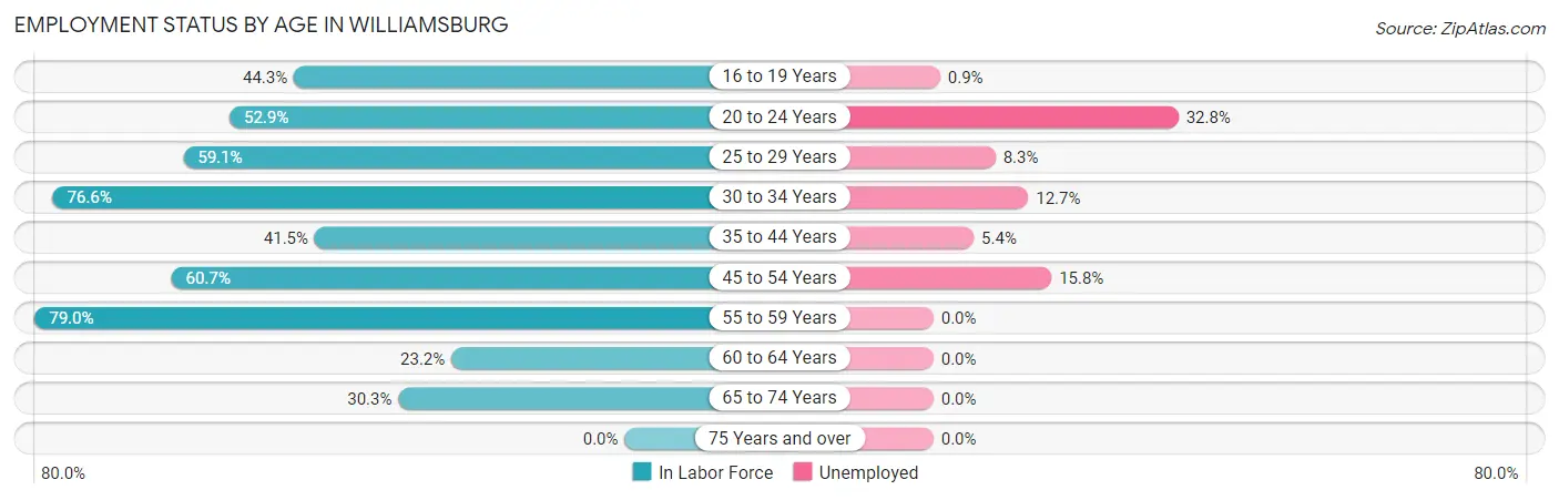 Employment Status by Age in Williamsburg