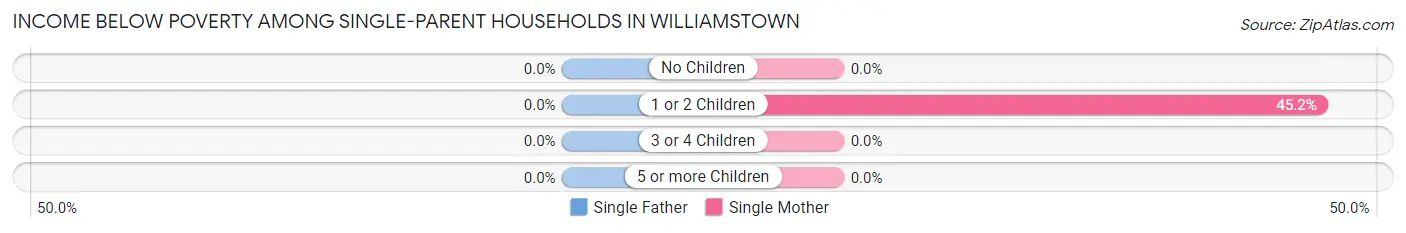Income Below Poverty Among Single-Parent Households in Williamstown