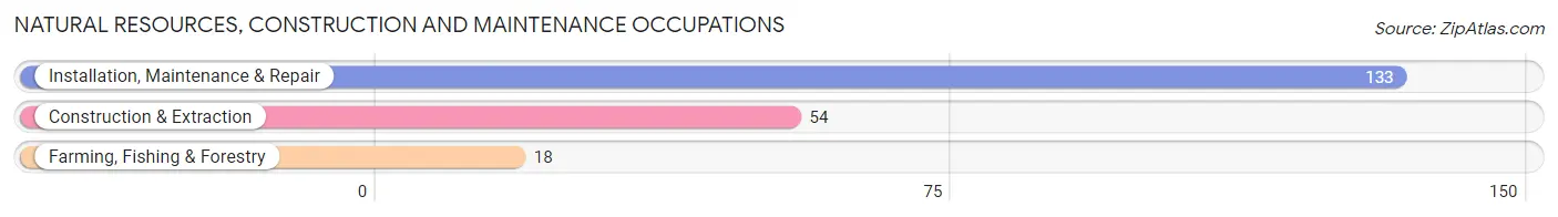 Natural Resources, Construction and Maintenance Occupations in Williamstown