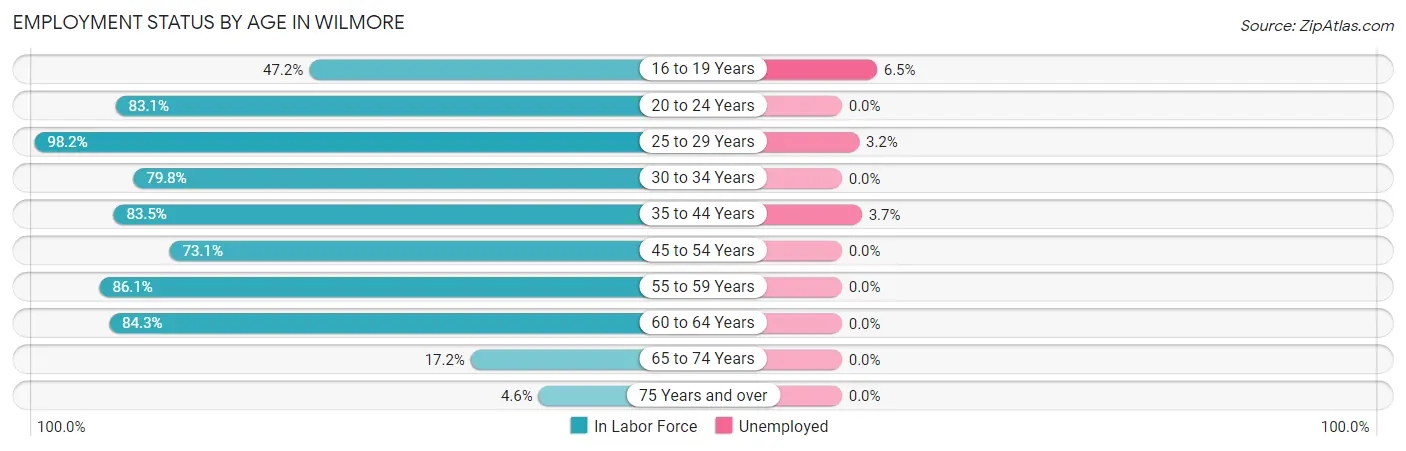Employment Status by Age in Wilmore