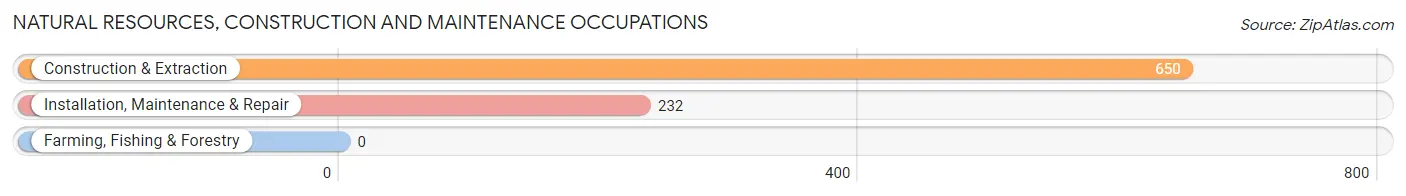 Natural Resources, Construction and Maintenance Occupations in Winchester
