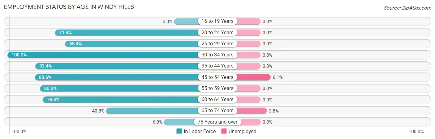 Employment Status by Age in Windy Hills