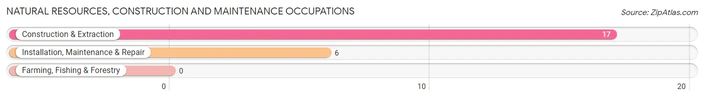 Natural Resources, Construction and Maintenance Occupations in Woodburn