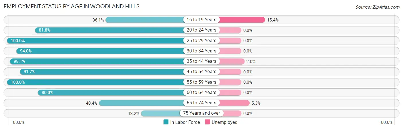 Employment Status by Age in Woodland Hills