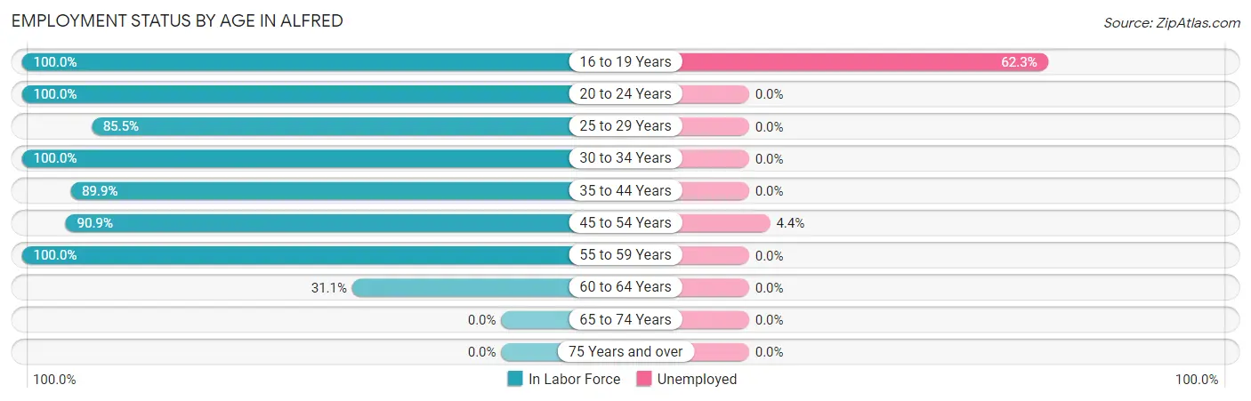 Employment Status by Age in Alfred