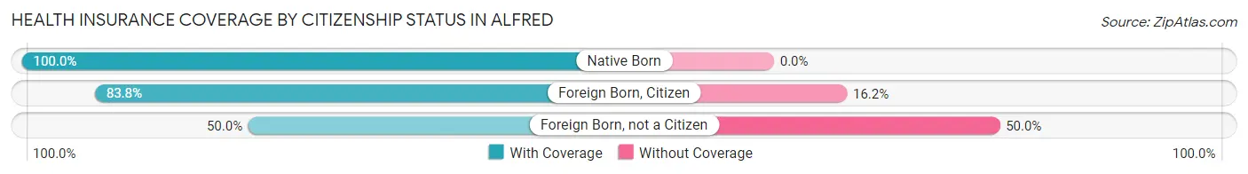 Health Insurance Coverage by Citizenship Status in Alfred