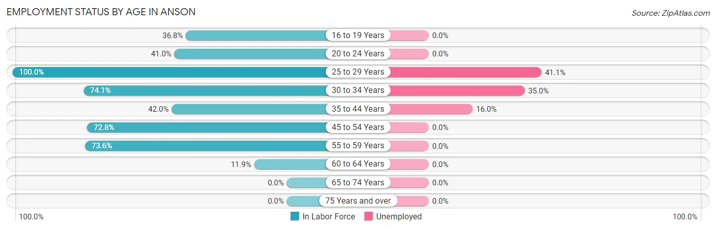 Employment Status by Age in Anson