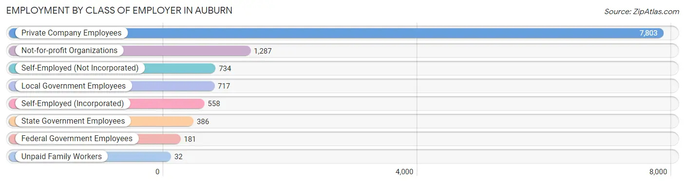Employment by Class of Employer in Auburn