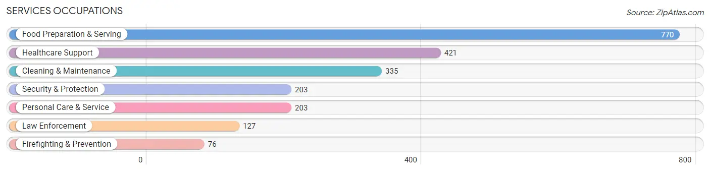 Services Occupations in Auburn