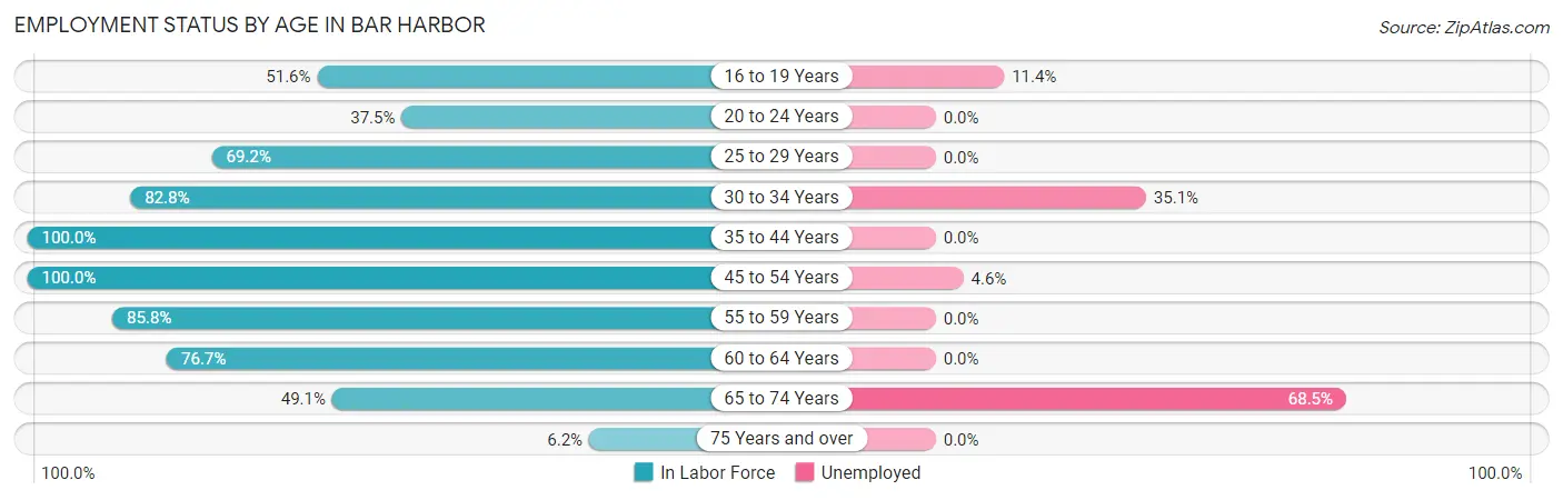 Employment Status by Age in Bar Harbor