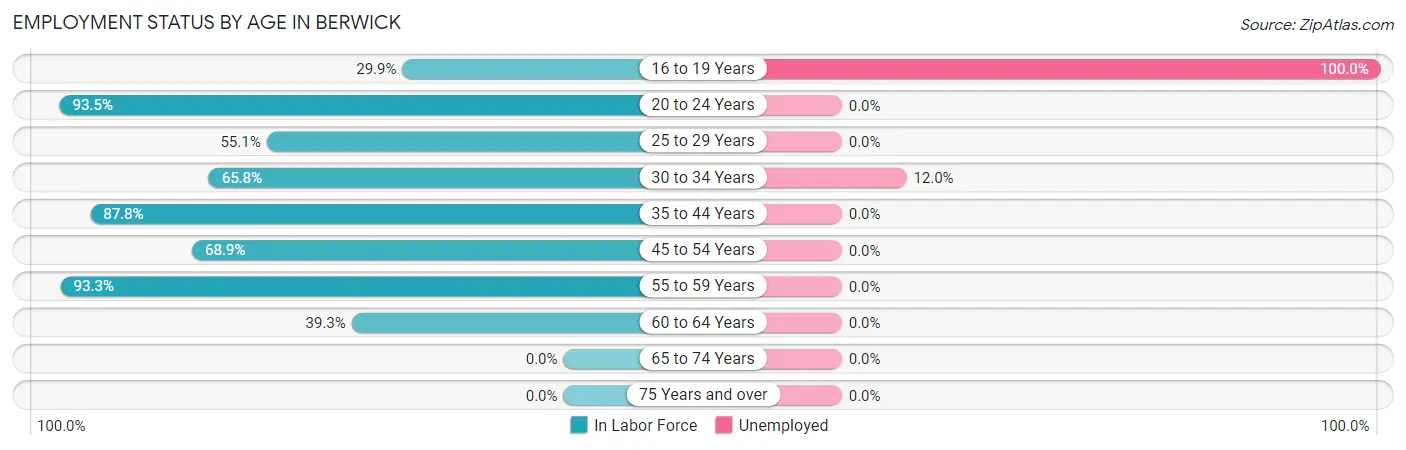 Employment Status by Age in Berwick