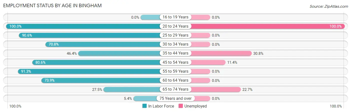 Employment Status by Age in Bingham