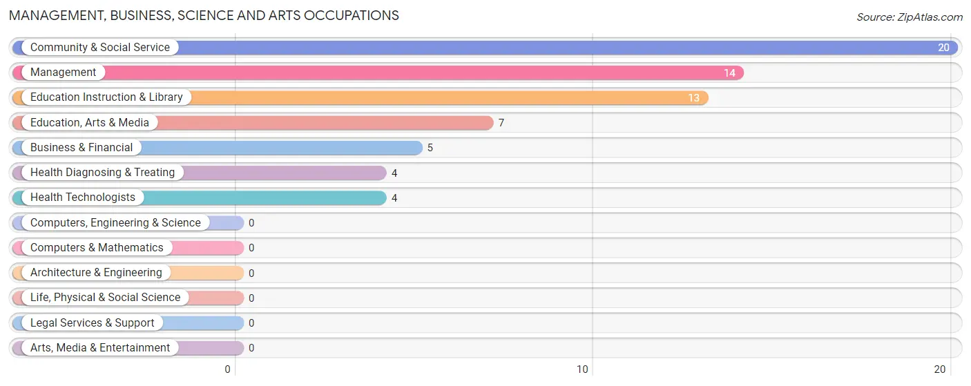 Management, Business, Science and Arts Occupations in Bingham