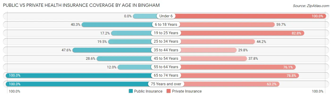 Public vs Private Health Insurance Coverage by Age in Bingham