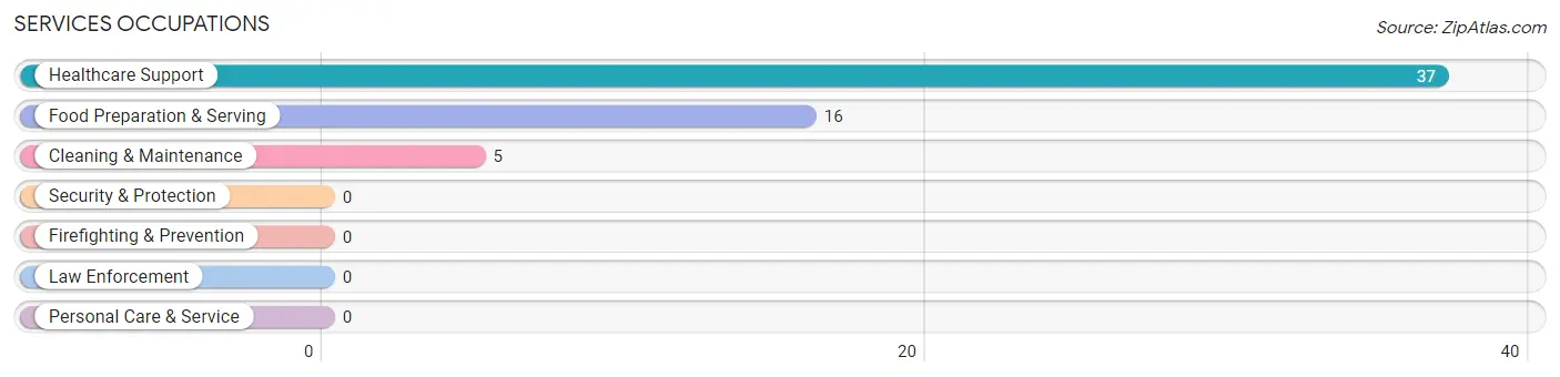 Services Occupations in Bingham