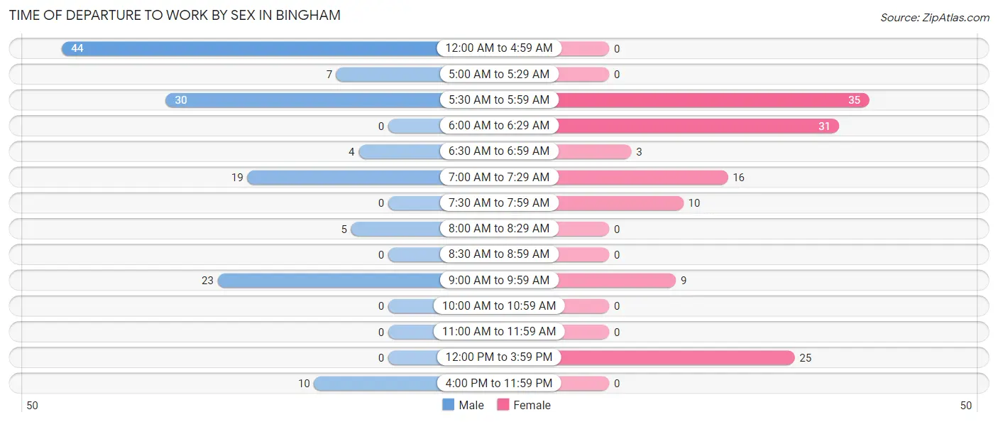 Time of Departure to Work by Sex in Bingham