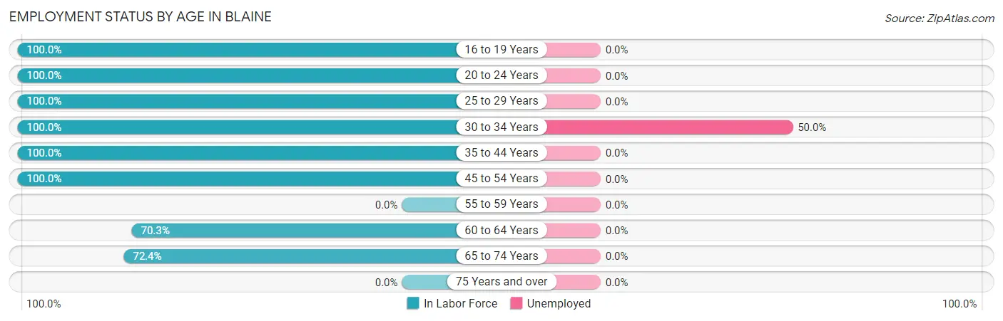 Employment Status by Age in Blaine