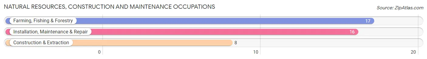 Natural Resources, Construction and Maintenance Occupations in Blaine