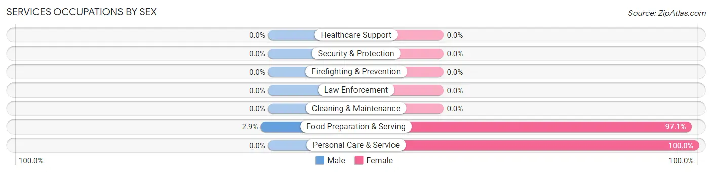 Services Occupations by Sex in Blue Hill