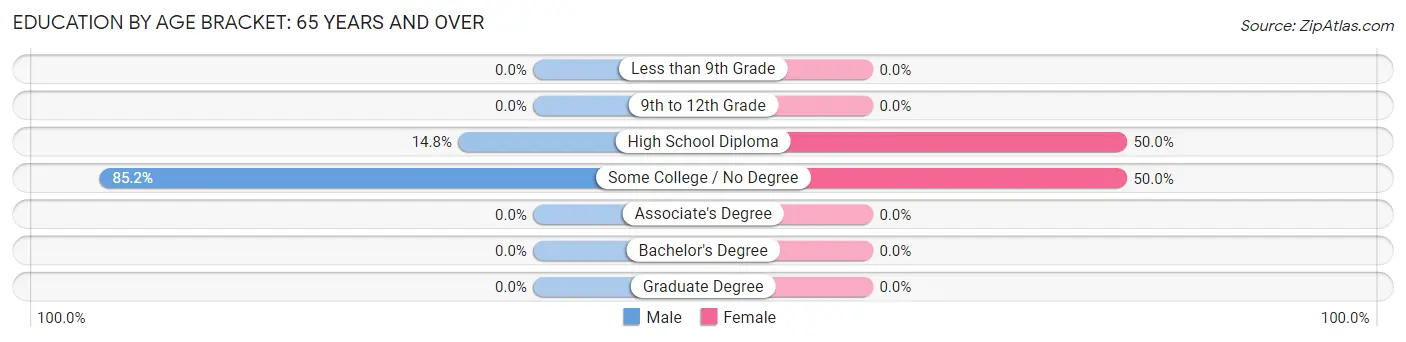 Education By Age Bracket in Bowdoinham: 65 Years and over