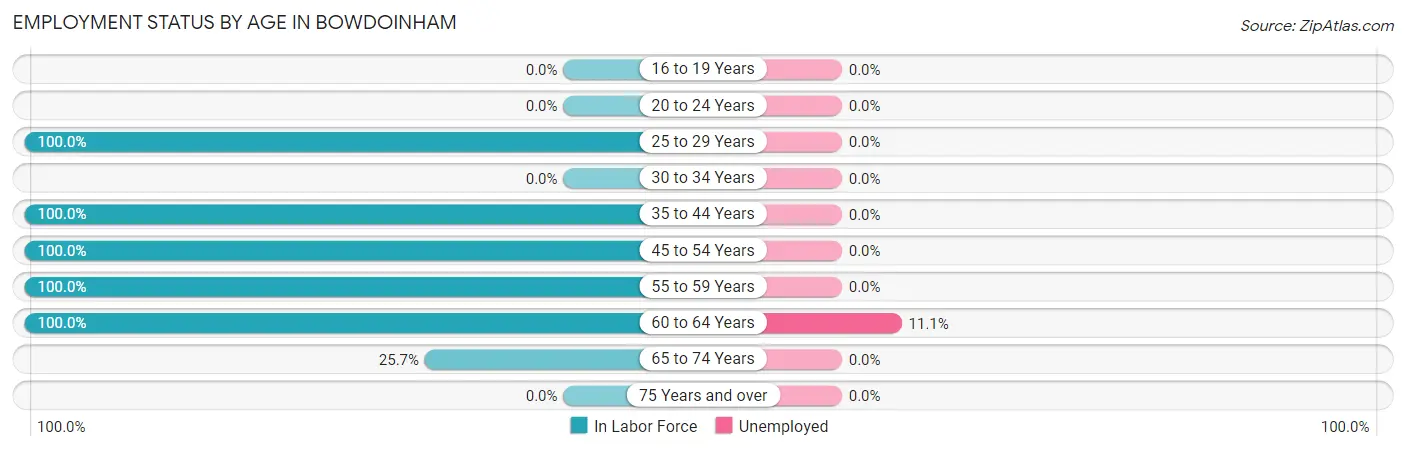 Employment Status by Age in Bowdoinham