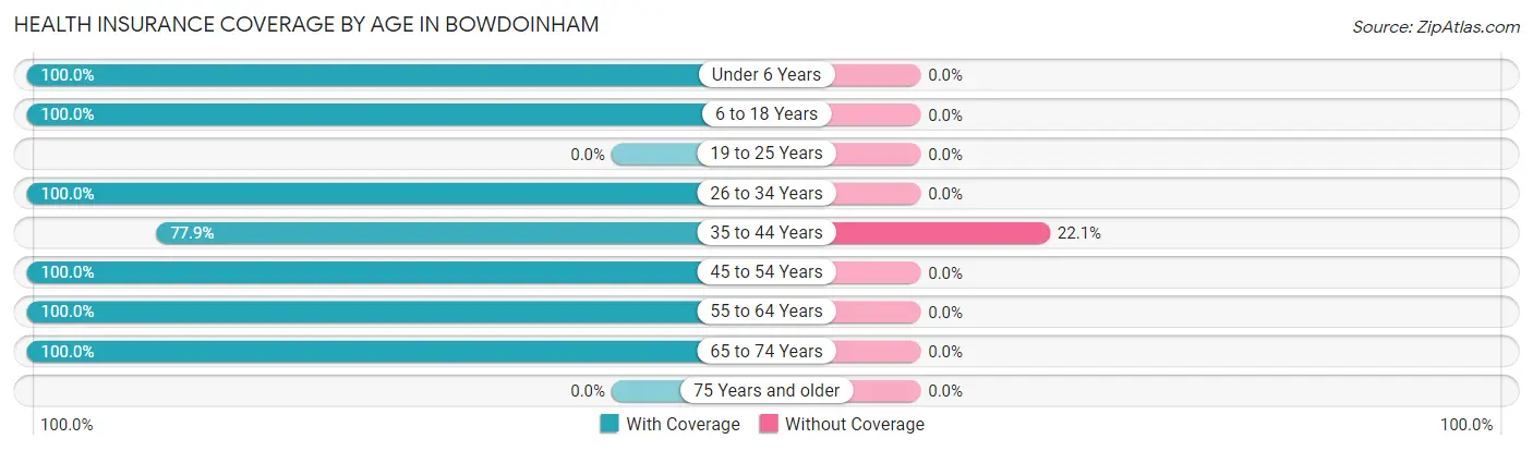 Health Insurance Coverage by Age in Bowdoinham
