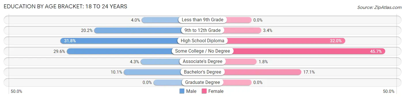 Education By Age Bracket in Brewer: 18 to 24 Years