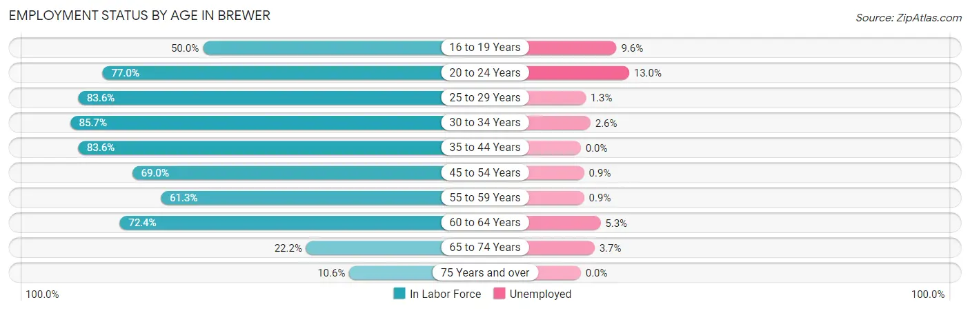 Employment Status by Age in Brewer