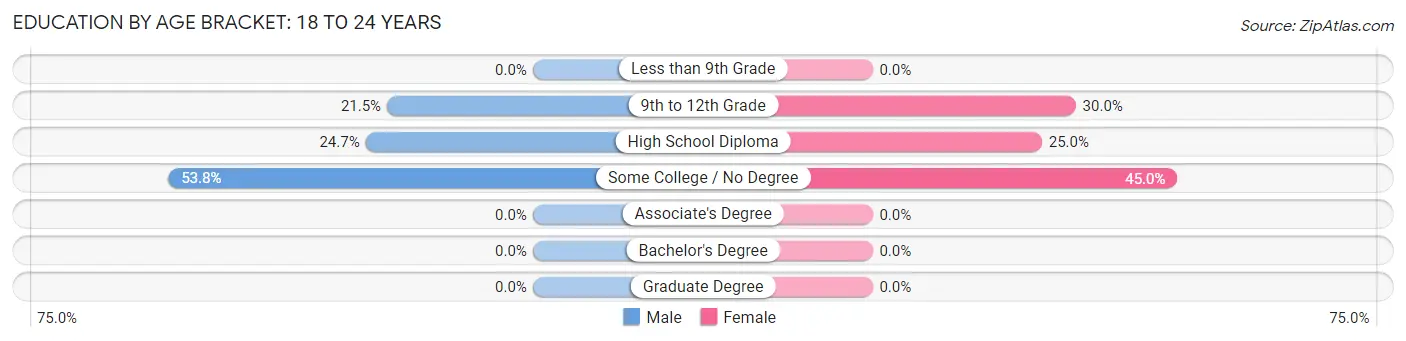 Education By Age Bracket in Bridgton: 18 to 24 Years