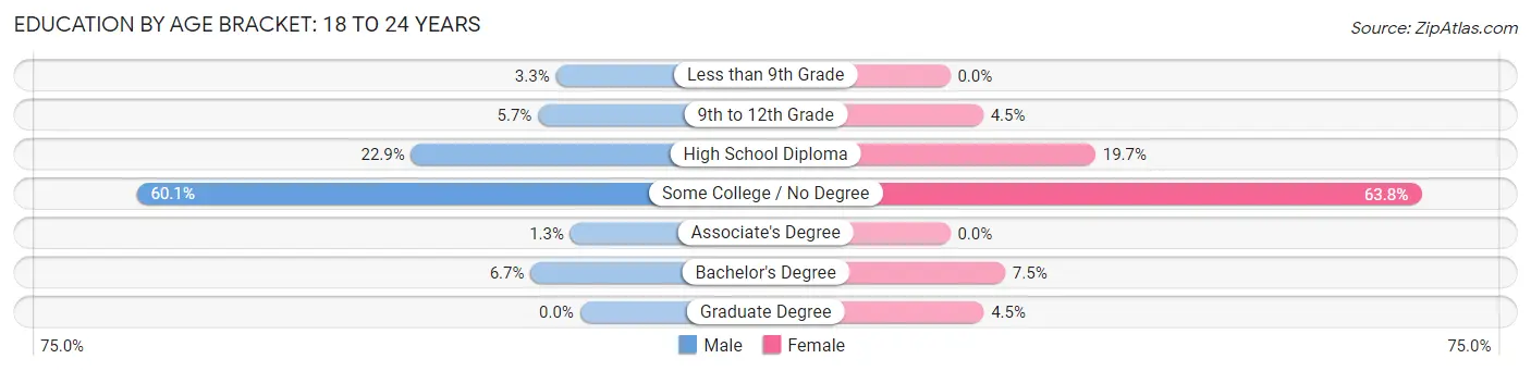Education By Age Bracket in Brunswick: 18 to 24 Years