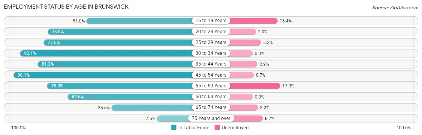 Employment Status by Age in Brunswick
