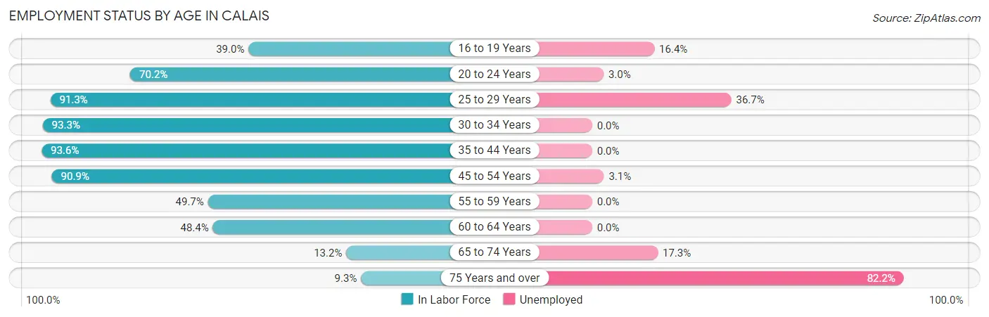 Employment Status by Age in Calais