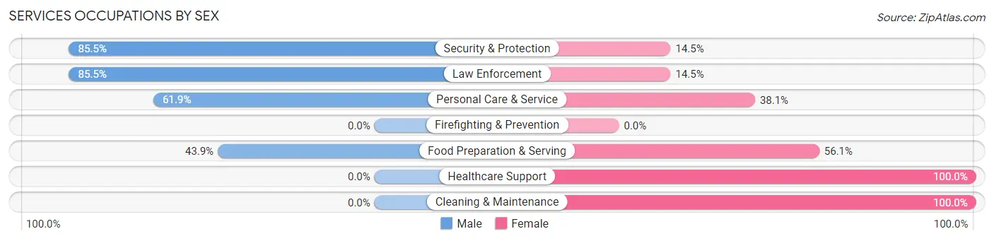 Services Occupations by Sex in Calais