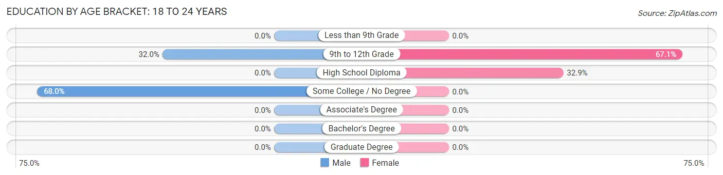 Education By Age Bracket in Camden: 18 to 24 Years