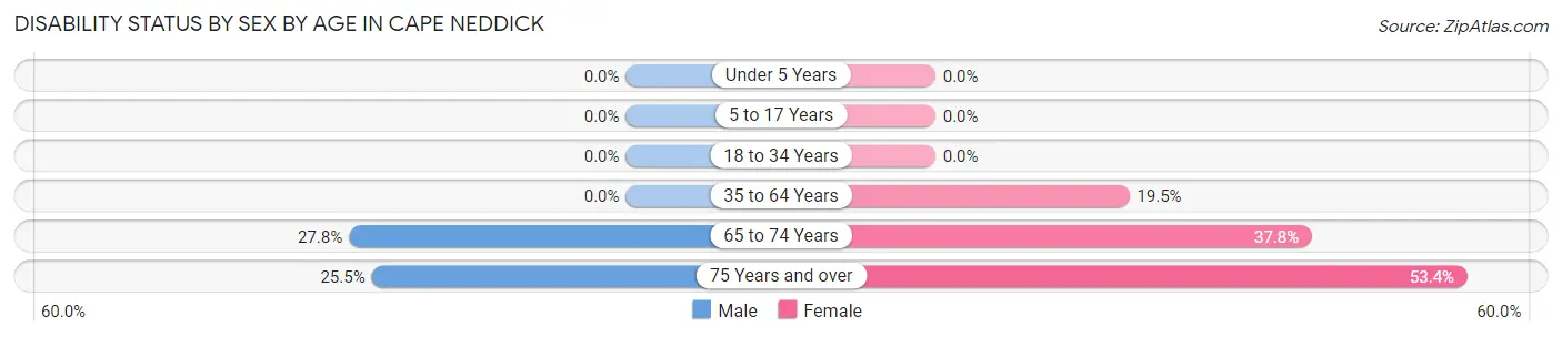 Disability Status by Sex by Age in Cape Neddick