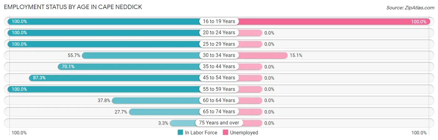 Employment Status by Age in Cape Neddick