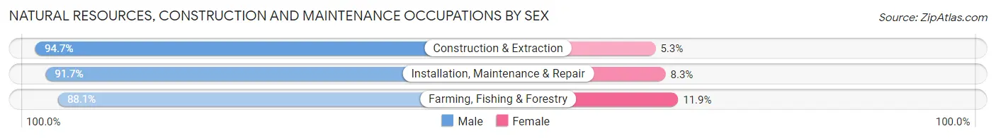Natural Resources, Construction and Maintenance Occupations by Sex in Caribou