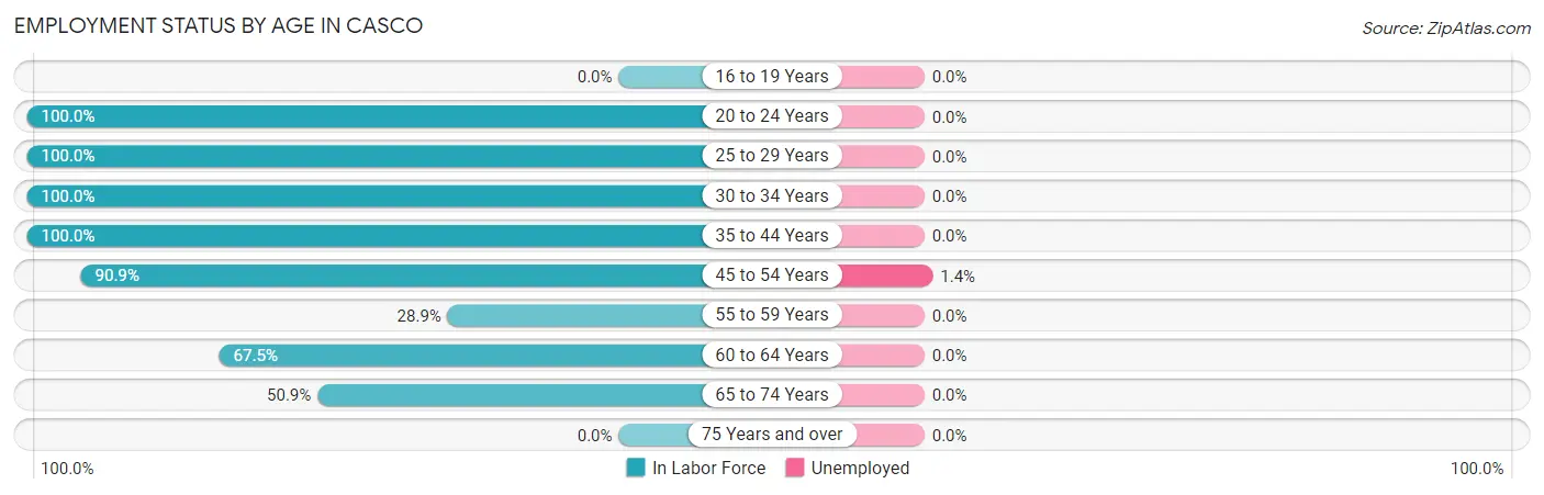 Employment Status by Age in Casco