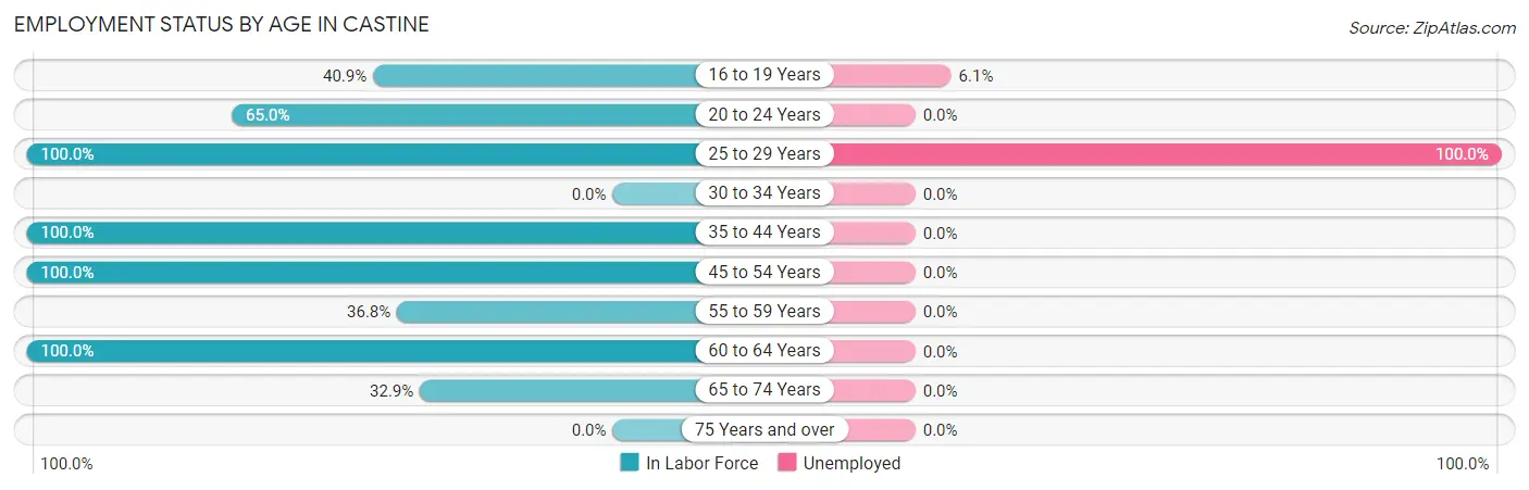 Employment Status by Age in Castine
