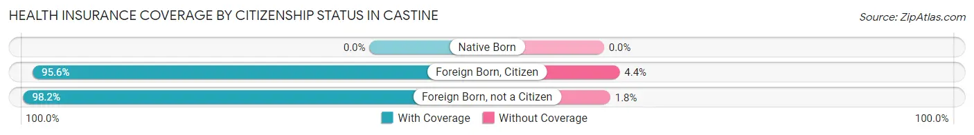 Health Insurance Coverage by Citizenship Status in Castine