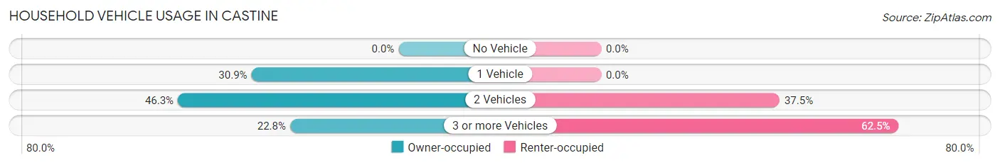 Household Vehicle Usage in Castine
