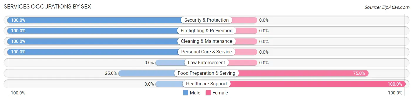 Services Occupations by Sex in Castine