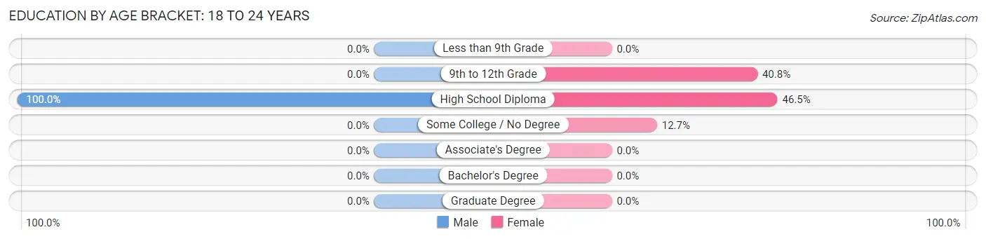 Education By Age Bracket in Chisholm: 18 to 24 Years