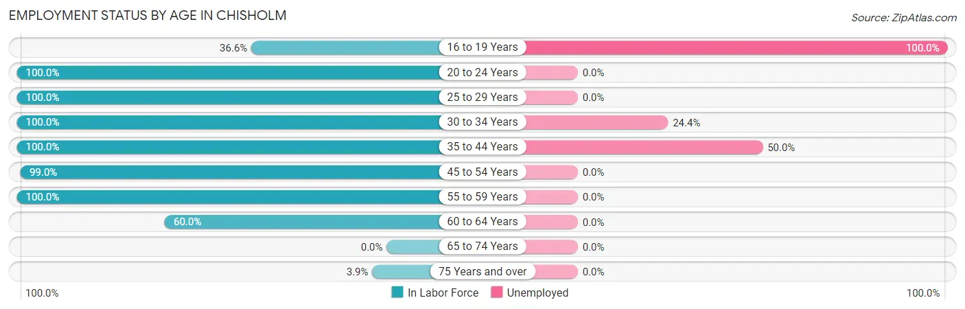 Employment Status by Age in Chisholm