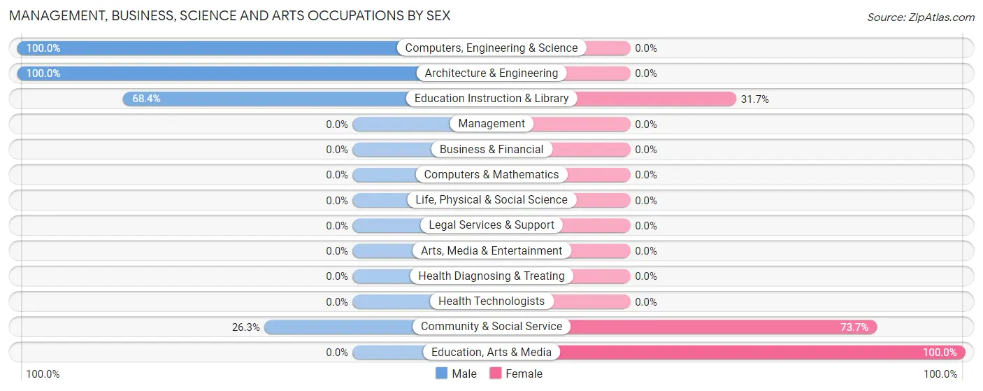 Management, Business, Science and Arts Occupations by Sex in Chisholm