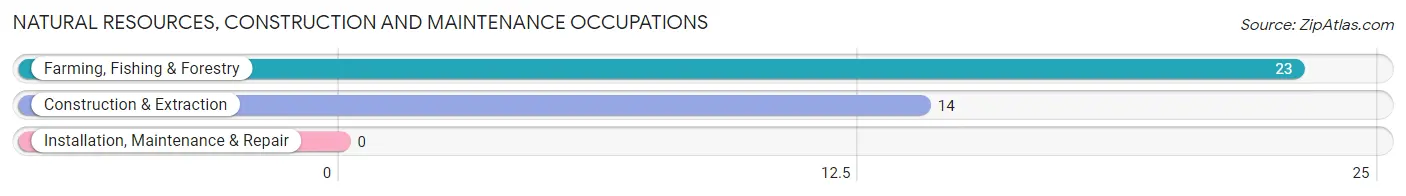 Natural Resources, Construction and Maintenance Occupations in Cousins Island