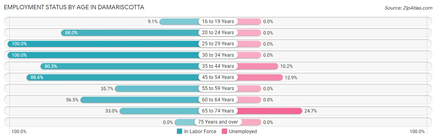 Employment Status by Age in Damariscotta
