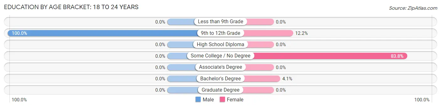 Education By Age Bracket in Dexter: 18 to 24 Years