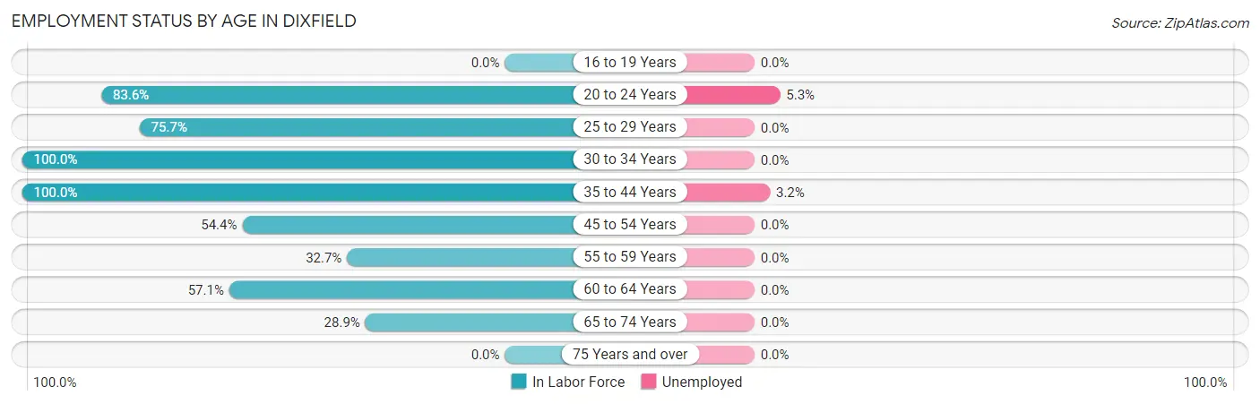 Employment Status by Age in Dixfield