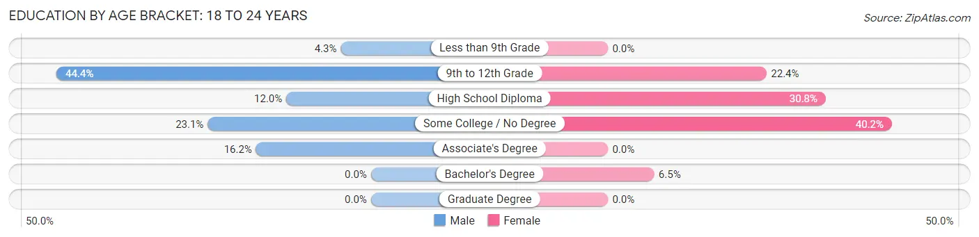 Education By Age Bracket in Dover Foxcroft: 18 to 24 Years